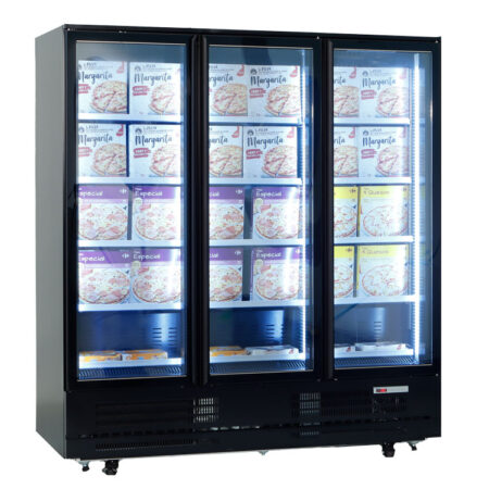 EDENOX Armario congelado VESUC-1603-C Ref. 19095652